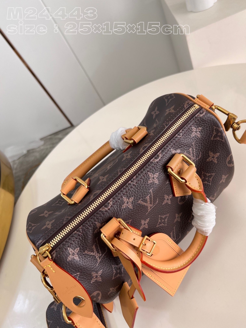 LV Speedy Bags